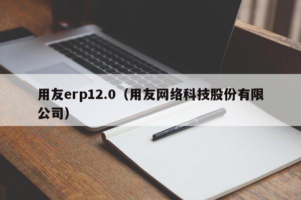 用友erp12.0（用友网络科技股份有限公司）