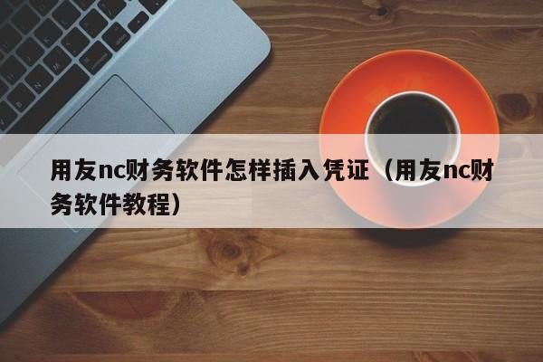 用友nc财务软件怎样插入凭证（用友nc财务软件教程）