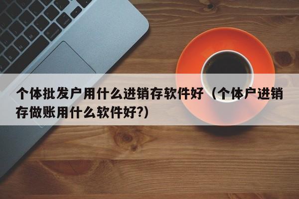 个体批发户用什么进销存软件好（个体户进销存做账用什么软件好?）