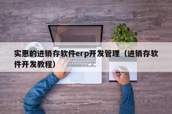 实惠的进销存软件erp开发管理（进销存软件开发教程）