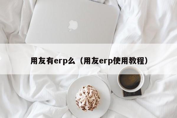 用友有erp么（用友erp使用教程）