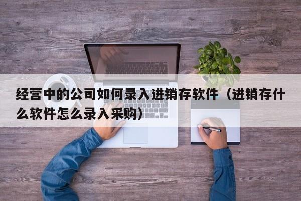 经营中的公司如何录入进销存软件（进销存什么软件怎么录入采购）