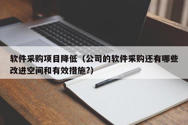 软件采购项目降低（公司的软件采购还有哪些改进空间和有效措施?）