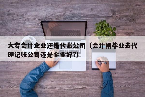 大专会计企业还是代账公司（会计刚毕业去代理记账公司还是企业好?）