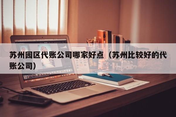 苏州园区代账公司哪家好点（苏州比较好的代账公司）