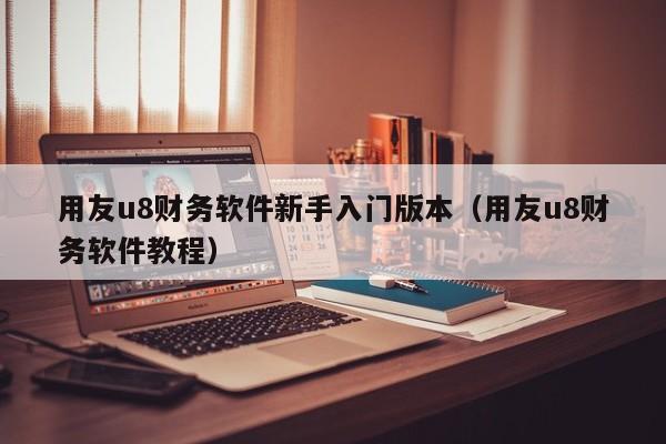 用友u8财务软件新手入门版本（用友u8财务软件教程）