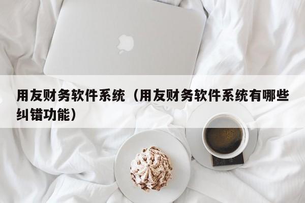 用友财务软件系统（用友财务软件系统有哪些纠错功能）