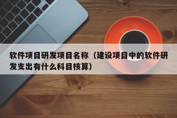 软件项目研发项目名称（建设项目中的软件研发支出有什么科目核算）