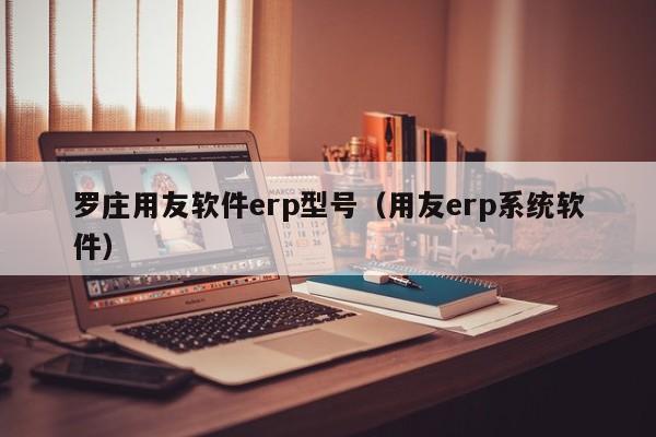 罗庄用友软件erp型号（用友erp系统软件）