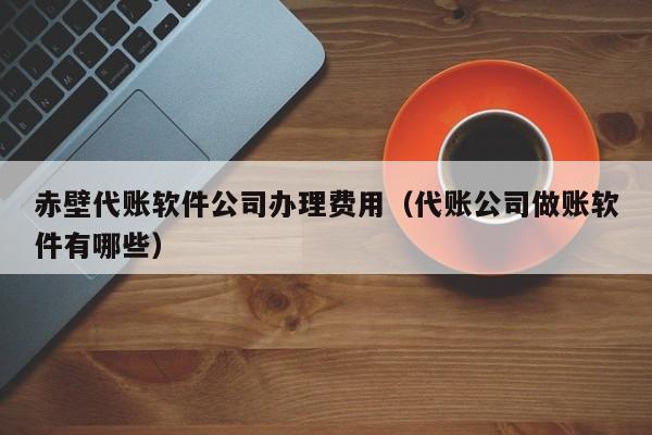 赤壁代账软件公司办理费用（代账公司做账软件有哪些）