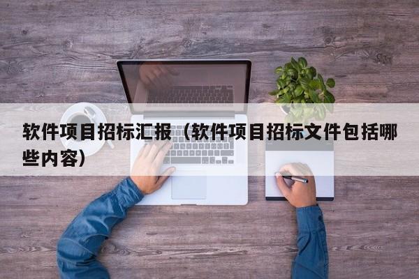 软件项目招标汇报（软件项目招标文件包括哪些内容）