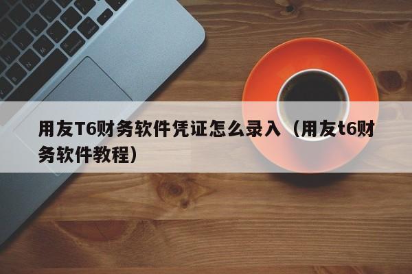 用友T6财务软件凭证怎么录入（用友t6财务软件教程）