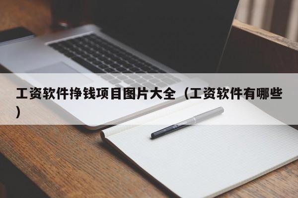 工资软件挣钱项目图片大全（工资软件有哪些）