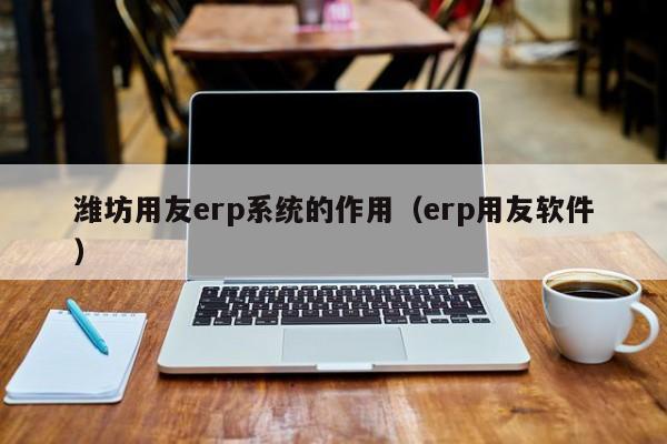 潍坊用友erp系统的作用（erp用友软件）