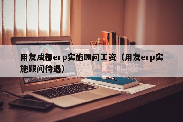 用友成都erp实施顾问工资（用友erp实施顾问待遇）