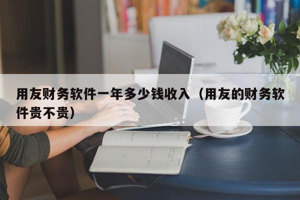 用友财务软件一年多少钱收入（用友的财务软件贵不贵）