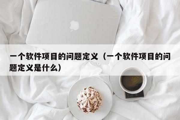 一个软件项目的问题定义（一个软件项目的问题定义是什么）