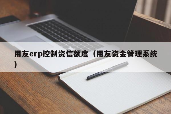 用友erp控制资信额度（用友资金管理系统）